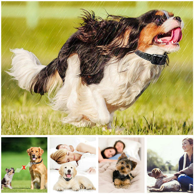 Hunde Anti Bell Halsband für kleine, mittelgroße und große Hunde von Barklo Wasserdichtes Vibrierendes Anti Bell Trainingshilfsmittel (12+ lbs)