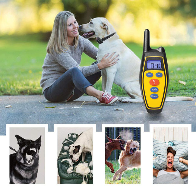 2 in 1  Fernbedienung wasserdichte wiederaufladbare Erziehungshalsband Automatische Anti-Bark
