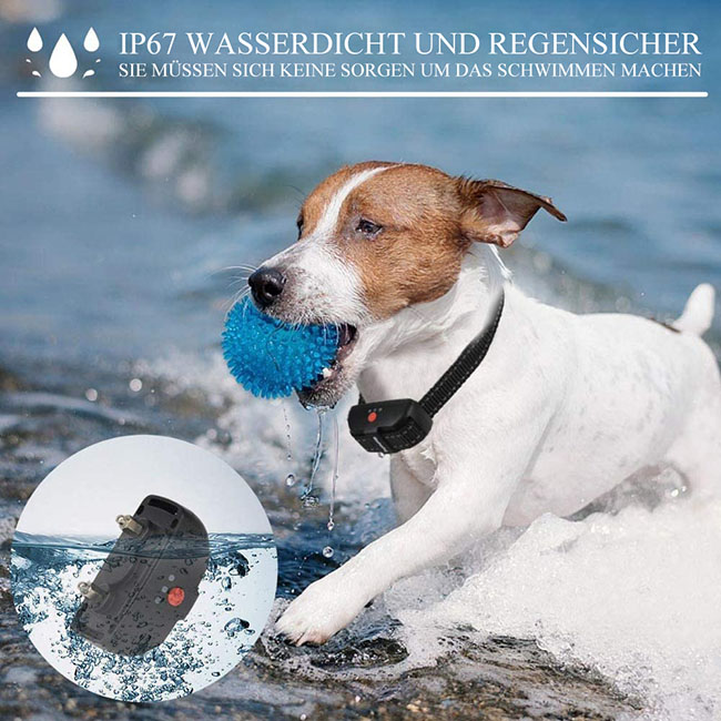 2 in 1  Fernbedienung wasserdichte wiederaufladbare Erziehungshalsband Automatische Anti-Bark für 3 hunde