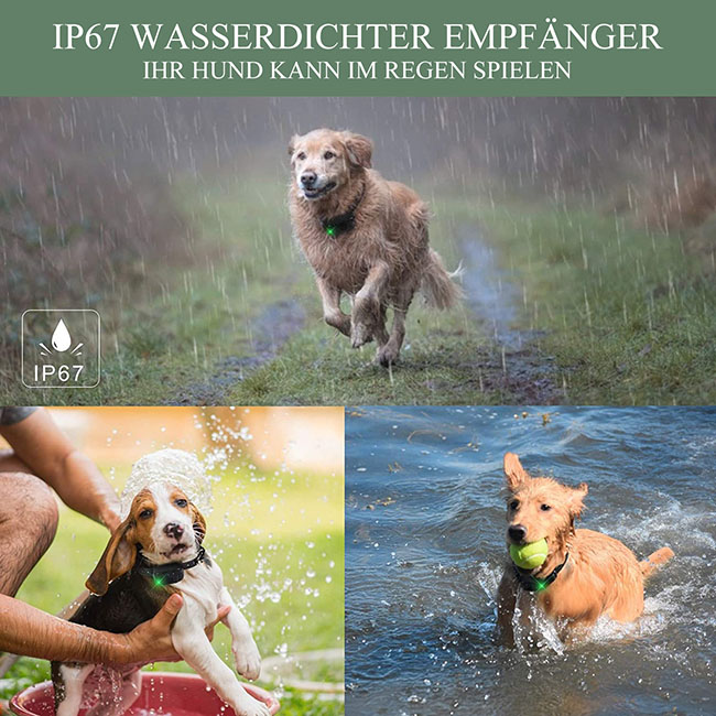 Hundetrainingshalsband mit Walkie-Talkie Fernbedienung Entfernung Bis zu 1000m Für 2 Hunde