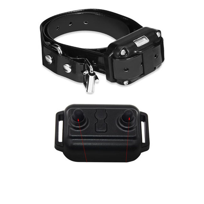 hundetraining kragen 800m entfernten aufgeladen und wasserdichte hundetrainerin Halsband