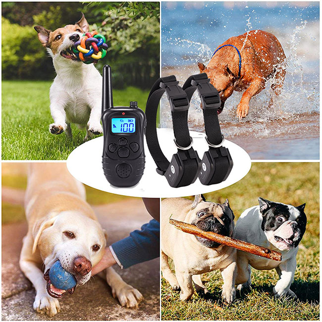 Wiederaufladbare und wasserdichte 300m Hundeerziehung halsband fuer 2 hunde