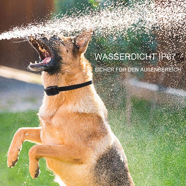 fernbedienung Hundeerziehung Halsbänder aufgeladen und wasserdichte Erziehungshalsband für hunde