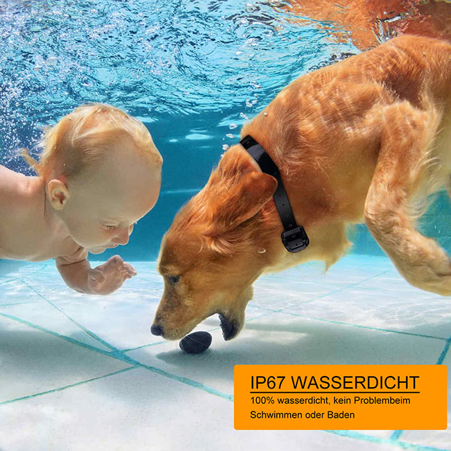 Fernbedienung 600m wasserdichte wiederaufladbare einstellbare Erziehungshalsband fuer 3 Hunde