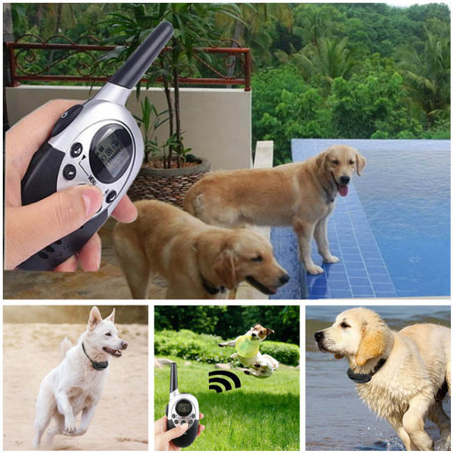 1000m Wasser Beweis wiederaufladbare Hundeerziehung halsband verstellbar Hundehalsband mit Funkfernbedienung  für 2 Hunde