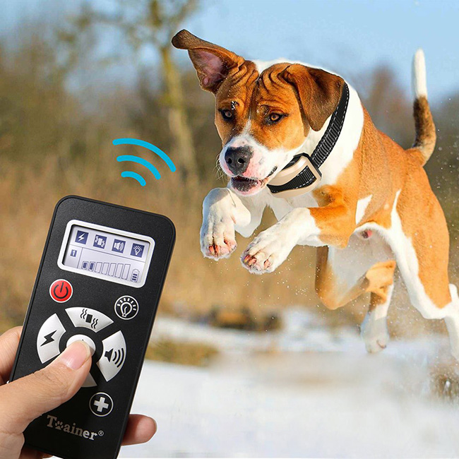 Wasserdichtes wiederaufladbares Anti Bark Remote Hundetrainingshalsband Für 1 Hunde