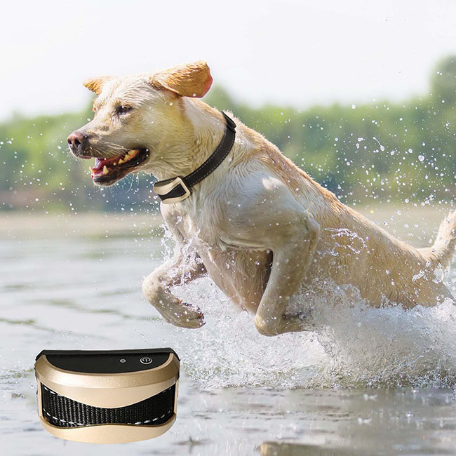 Wasserdichtes wiederaufladbares Anti Bark Remote Hundetrainingshalsband Für 2 Hunde