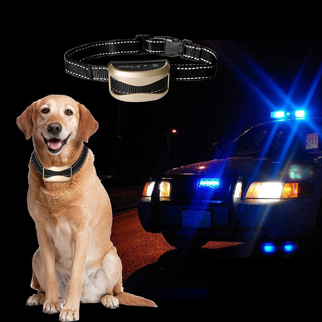 Wasserdichtes wiederaufladbares Anti Bark Remote Hundetrainingshalsband Für 2 Hunde