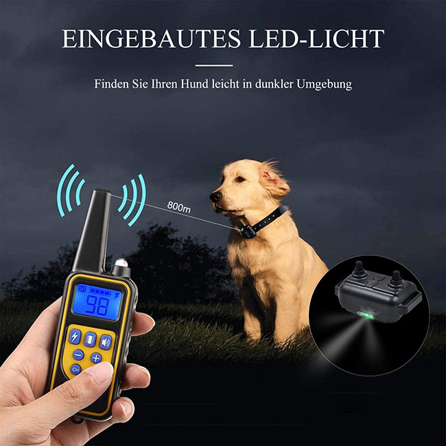 hundetraining kragen 800m entfernten aufgeladen und wasserdichte hundetrainerin